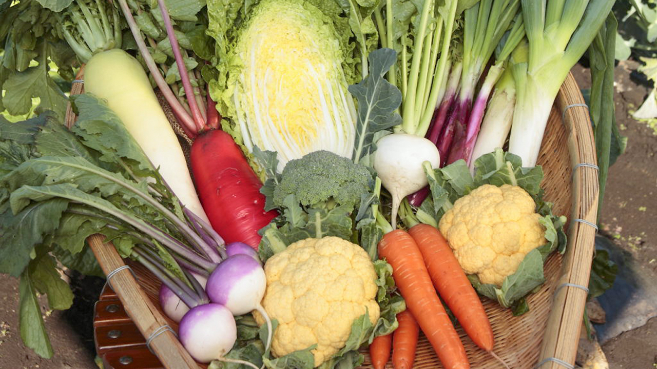 指定野菜と特定野菜の違い